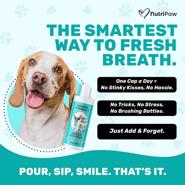 A clean, bright ad creative showcasing a dental water additive for pets with a primary focus on the benefit of fresh breath and a simple, hassle-free application process.